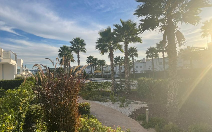 Reventa - Apartment -
Orihuela - Vistabella