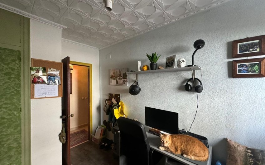 Reventa - Apartment -
San Miguel de Salinas - Balcon De San Miguel