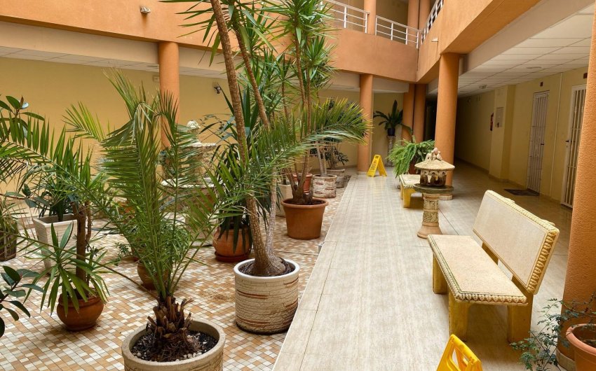 Reventa - Apartment -
San Miguel de Salinas - Pueblo 9