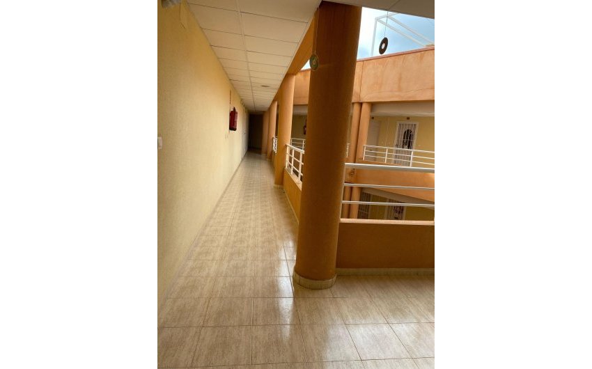 Reventa - Apartment -
San Miguel de Salinas - Pueblo 9