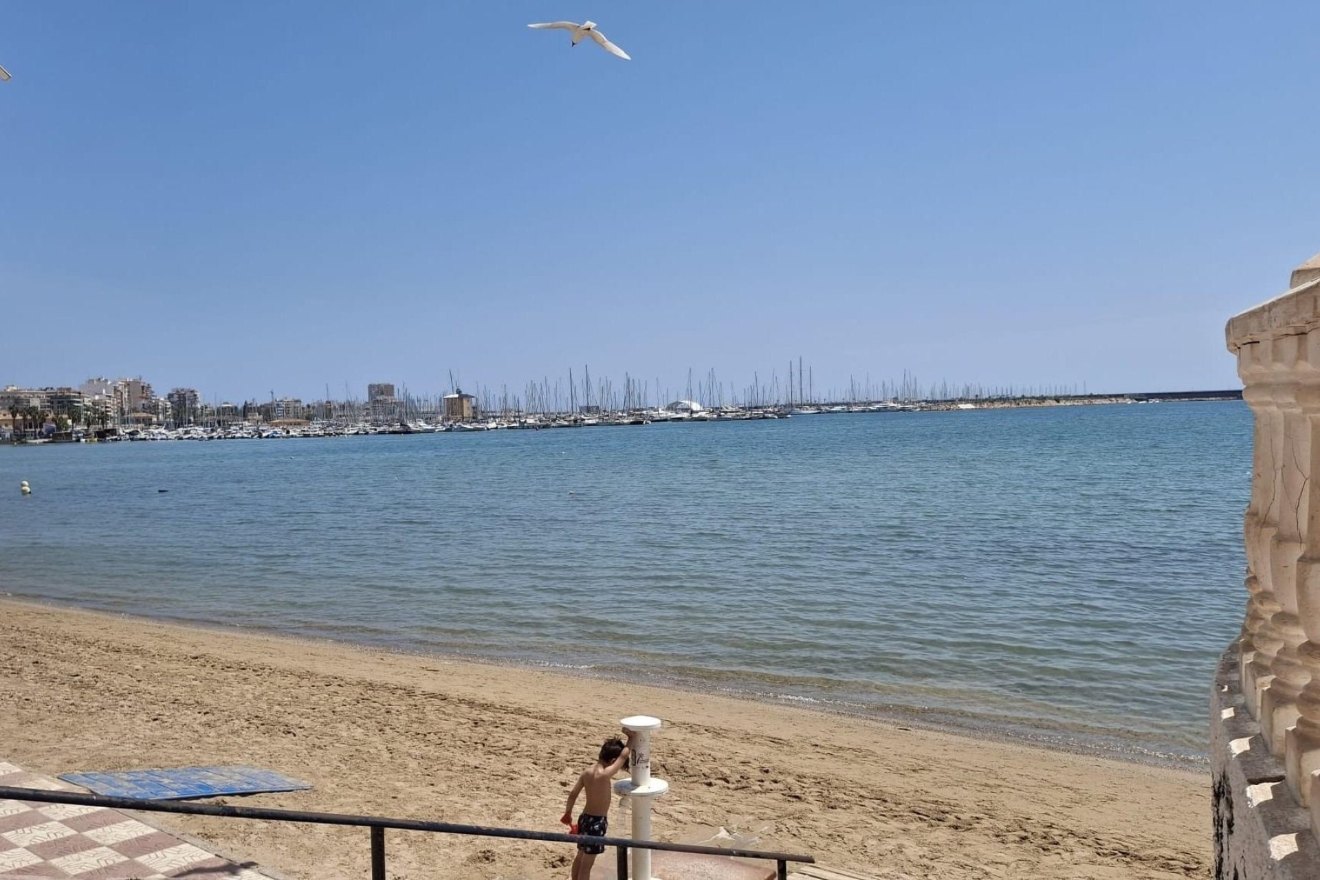 Reventa - Apartment -
Torrevieja - Acequion