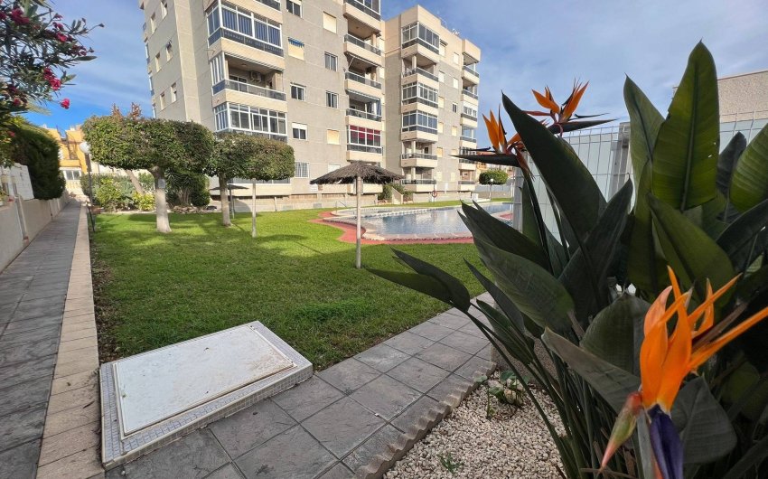 Reventa - Apartment -
Torrevieja - Aguas Nuevas