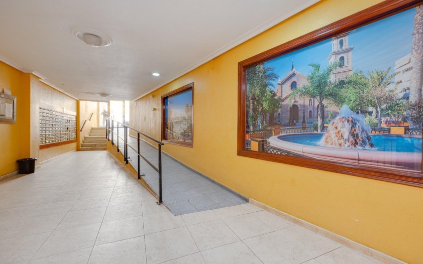 Reventa - Apartment -
Torrevieja - Centro