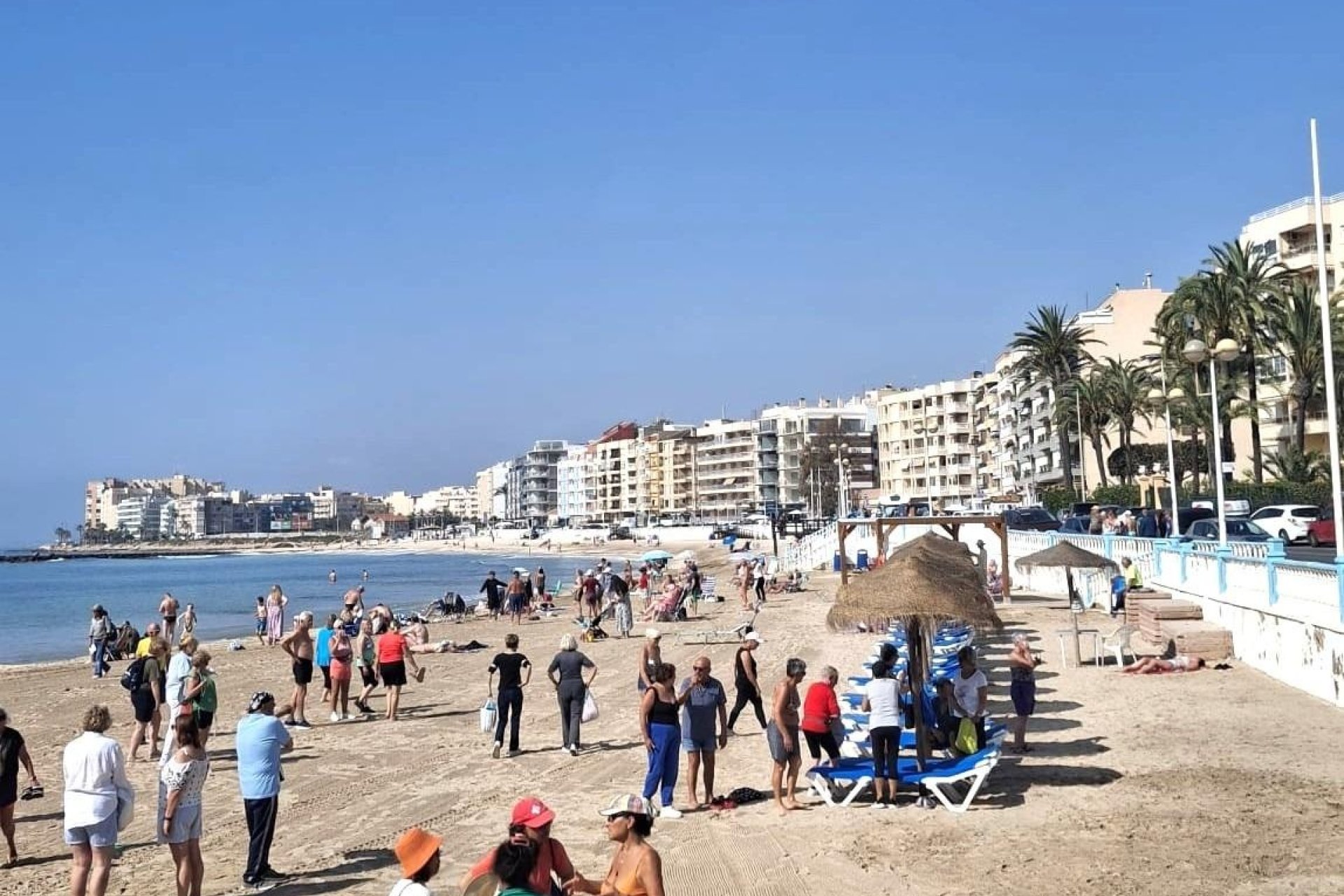 Reventa - Apartment -
Torrevieja - Centro