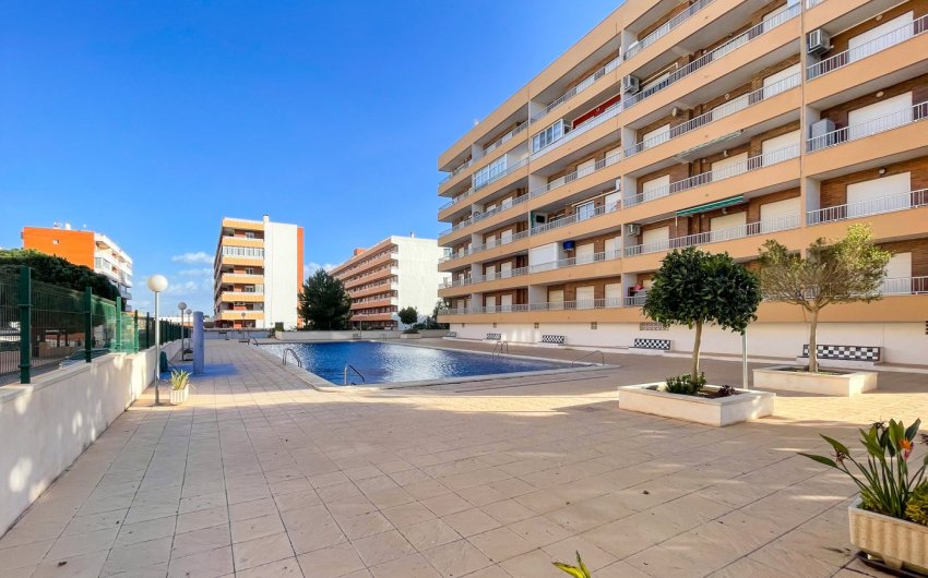 Reventa - Apartment -
Torrevieja - Costa Blanca