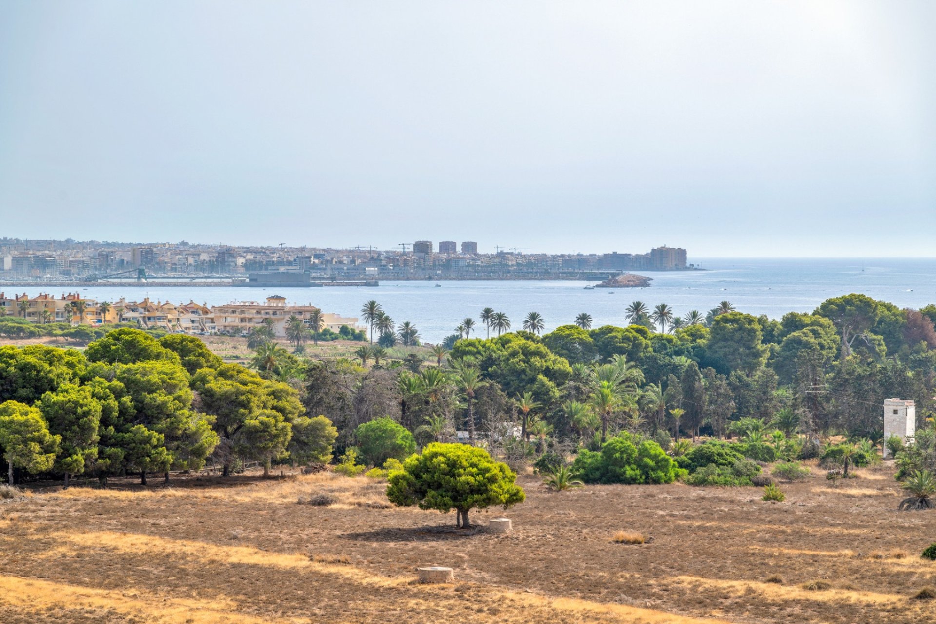 Reventa - Apartment -
Torrevieja - Costa Blanca