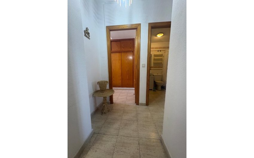 Reventa - Apartment -
Torrevieja - Costa Blanca