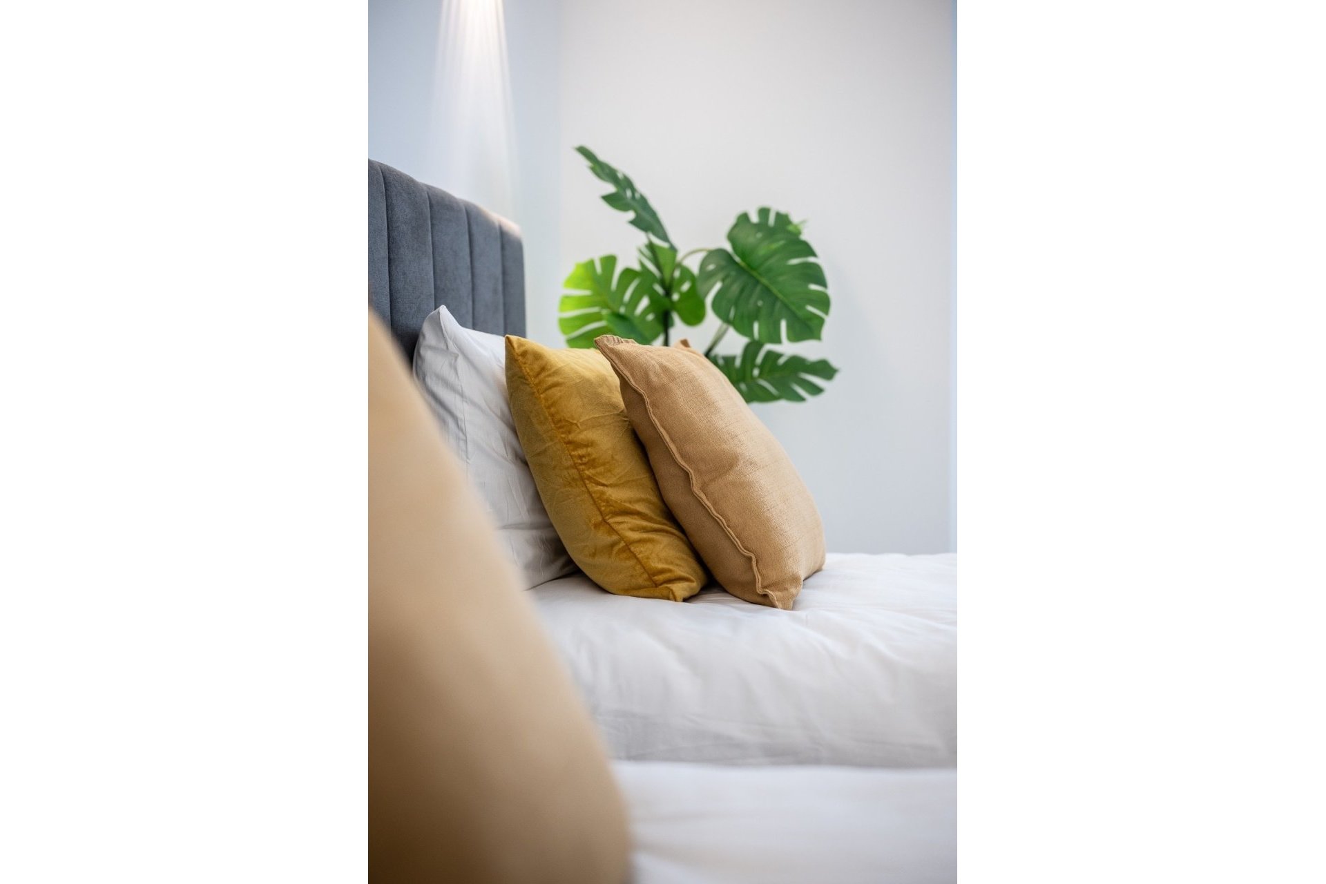 Reventa - Apartment -
Torrevieja - Costa Blanca