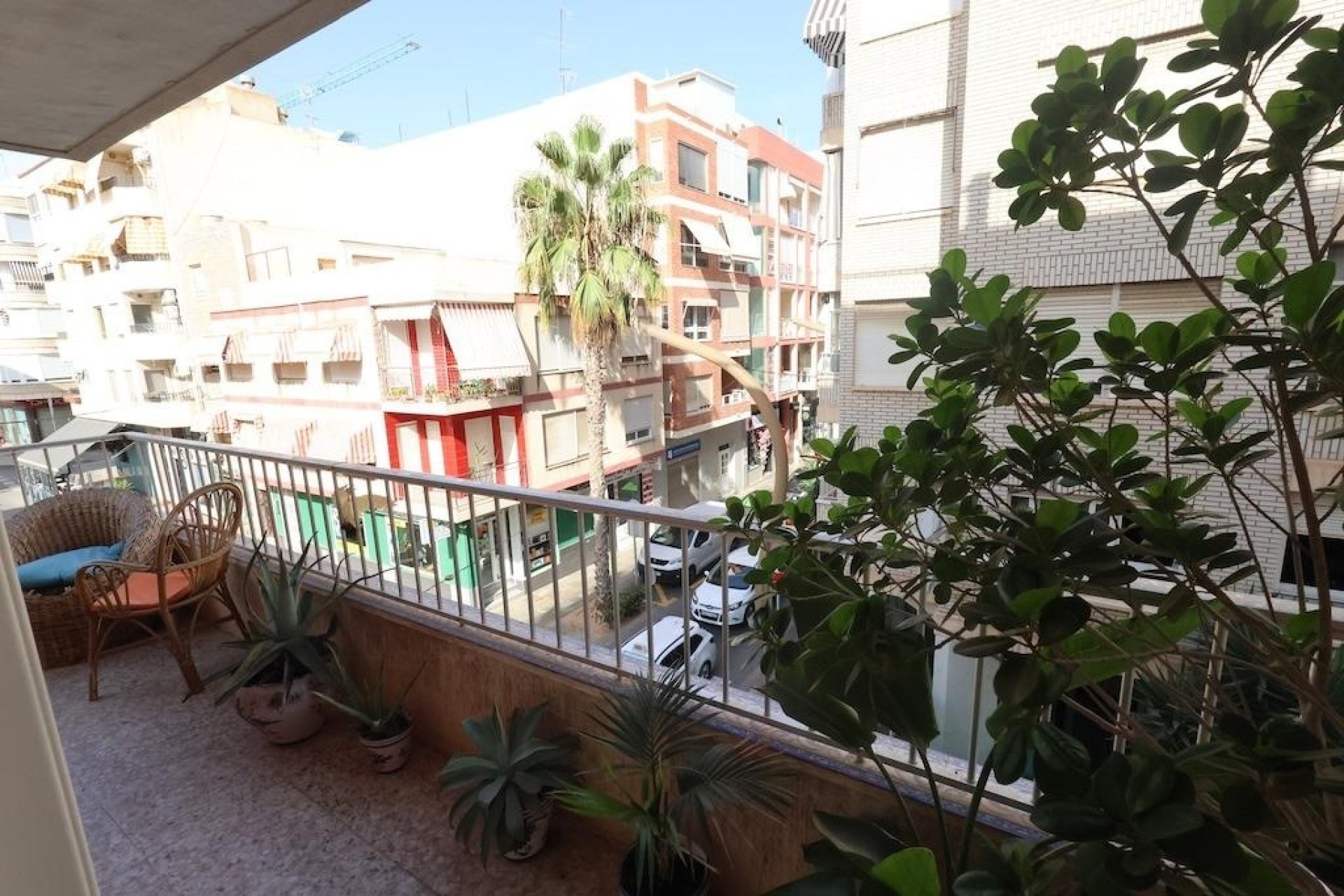 Reventa - Apartment -
Torrevieja - Costa Blanca