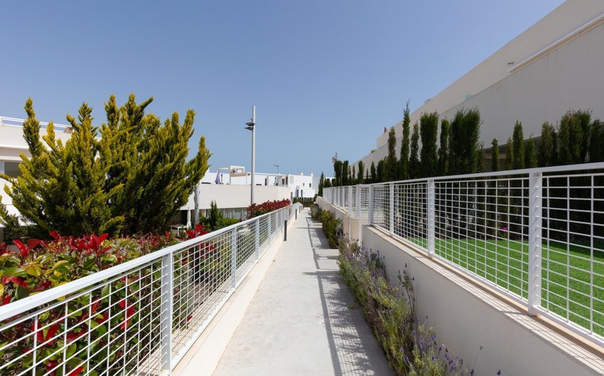 Reventa - Apartment -
Torrevieja - Costa Blanca