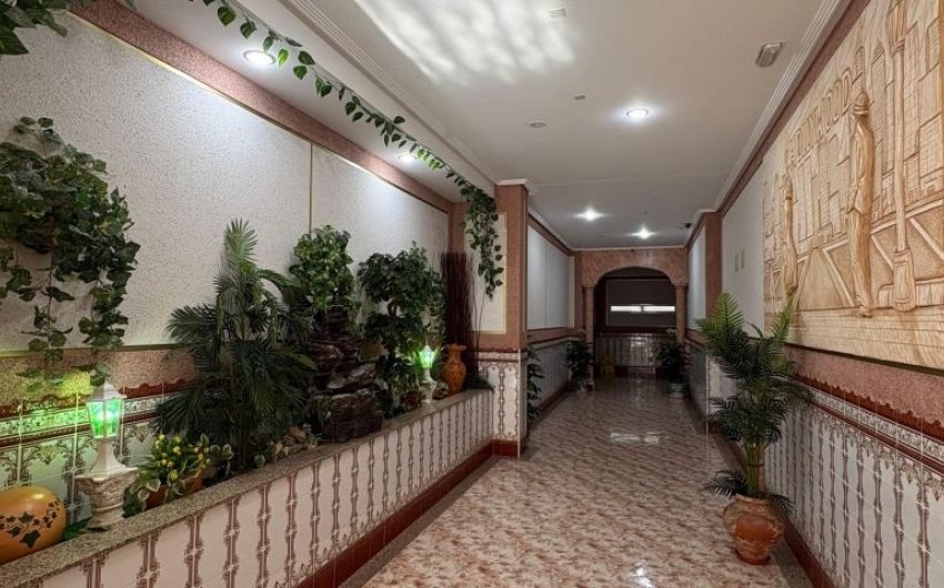 Reventa - Apartment -
Torrevieja - Costa Blanca