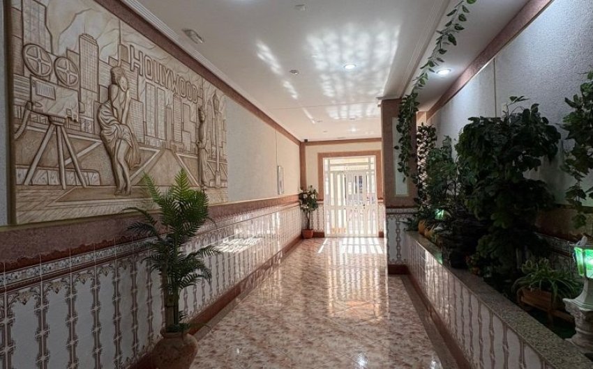 Reventa - Apartment -
Torrevieja - Costa Blanca