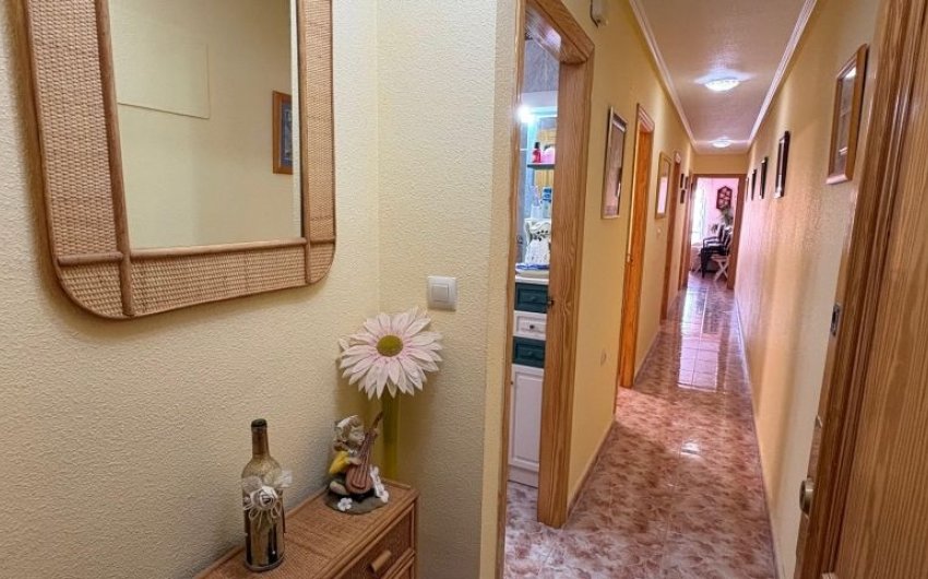 Reventa - Apartment -
Torrevieja - Costa Blanca