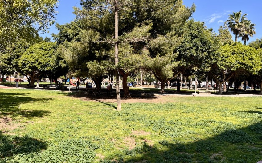 Reventa - Apartment -
Torrevieja - Costa Blanca