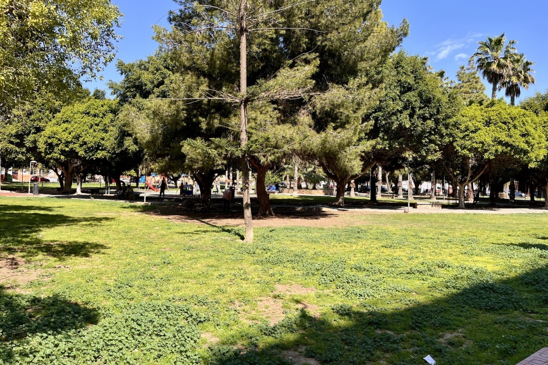 Reventa - Apartment -
Torrevieja - Costa Blanca