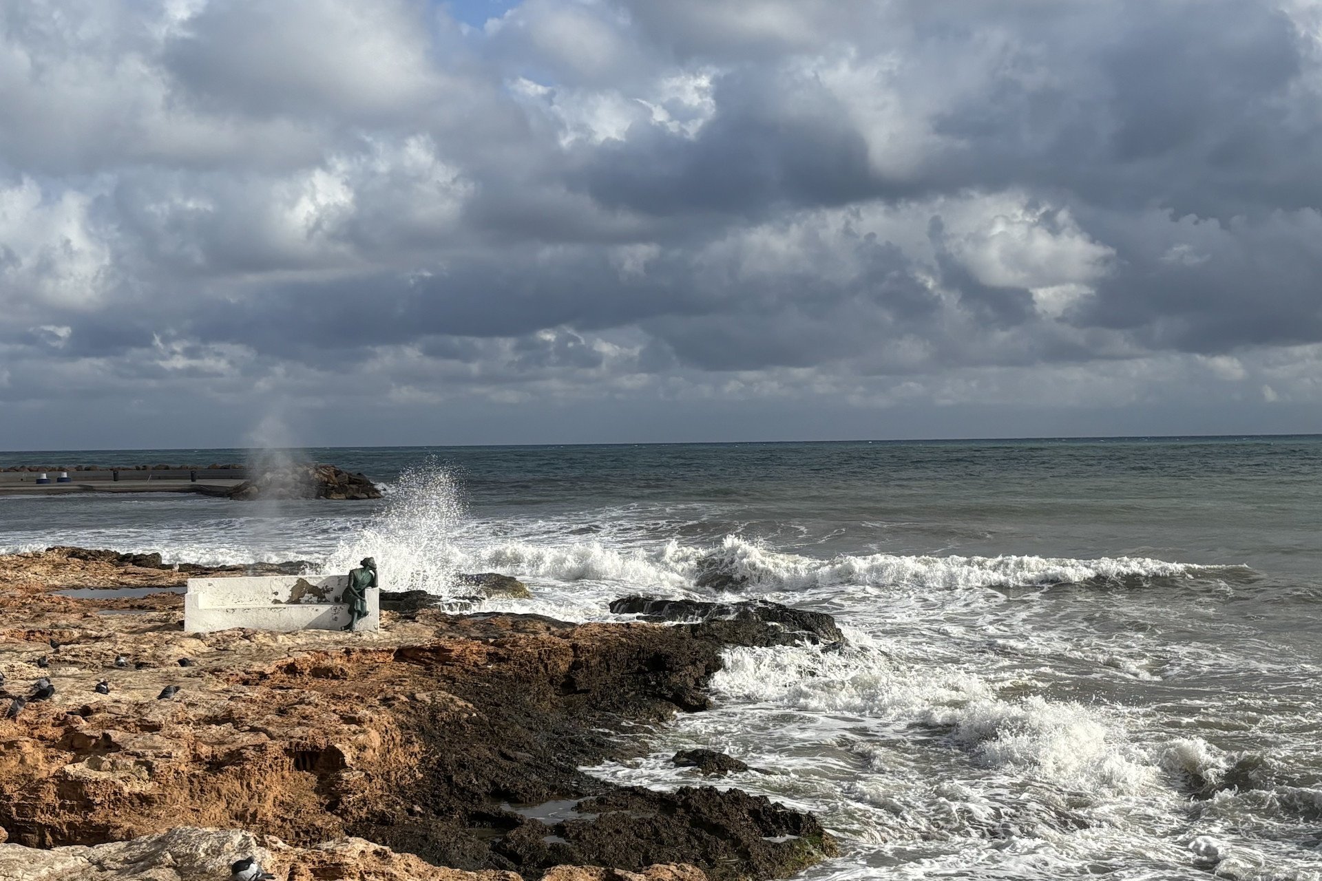 Reventa - Apartment -
Torrevieja - Costa Blanca