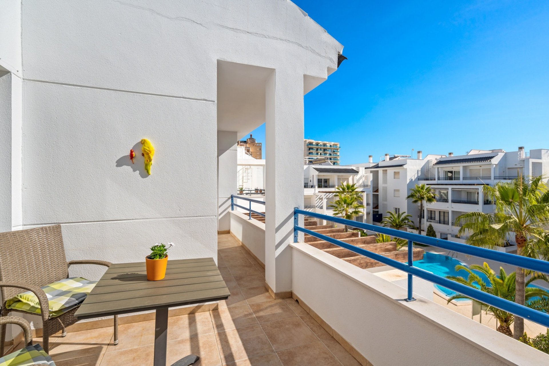 Reventa - Apartment -
Torrevieja - Costa Blanca