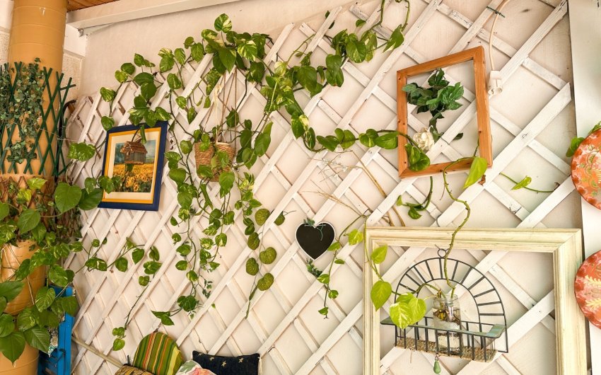 Reventa - Apartment -
Torrevieja - Costa Blanca