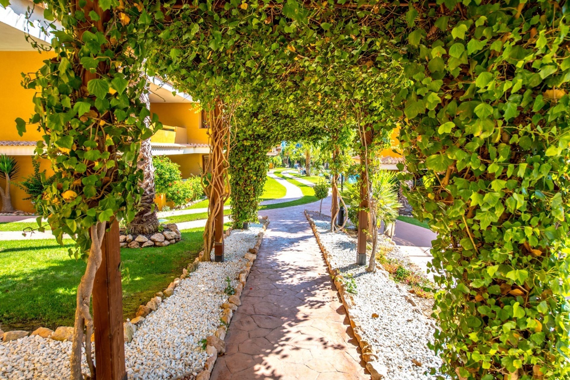 Reventa - Apartment -
Torrevieja - Costa Blanca