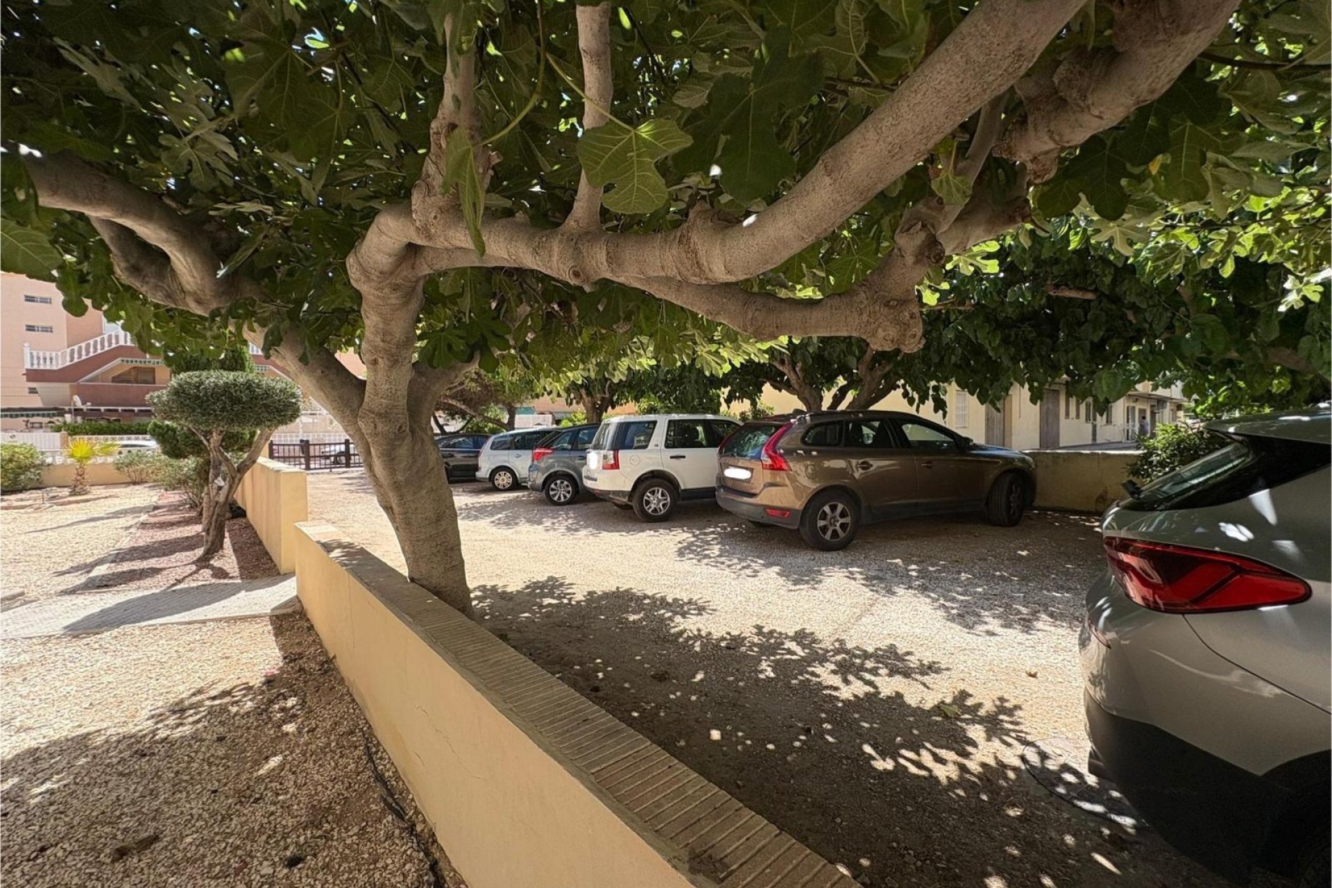 Reventa - Apartment -
Torrevieja - Costa Blanca