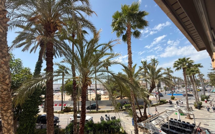 Reventa - Apartment -
Torrevieja - Costa Blanca