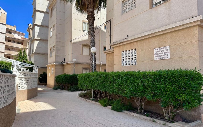 Reventa - Apartment -
Torrevieja - Habaneras