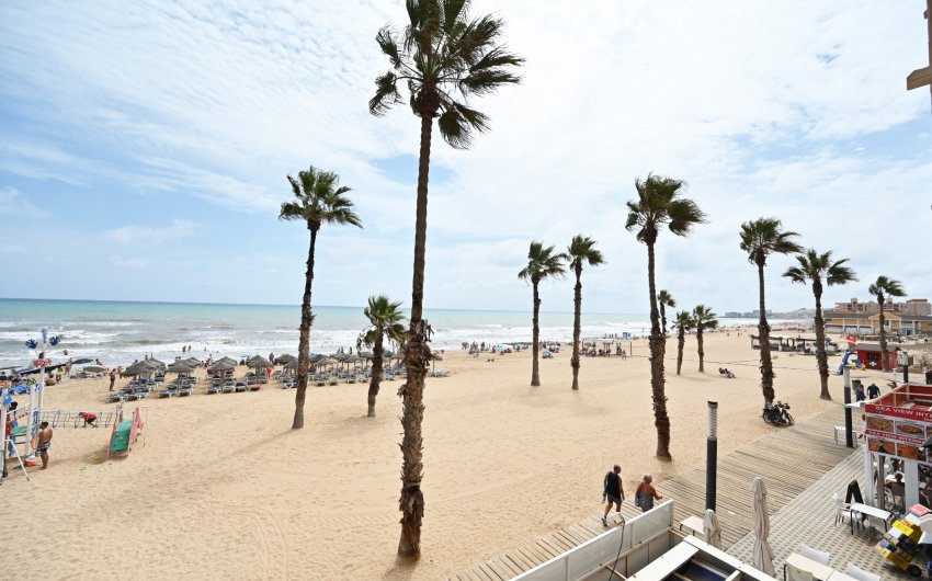 Reventa - Apartment -
Torrevieja - La Mata