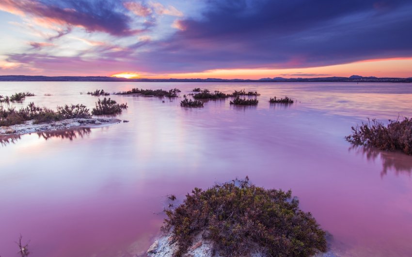 Reventa - Apartment -
Torrevieja - La Mata