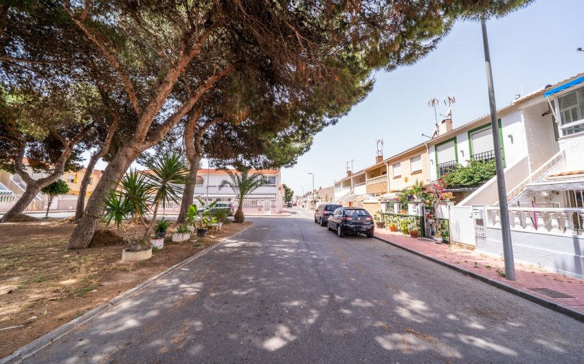 Reventa - Apartment -
Torrevieja - La Veleta