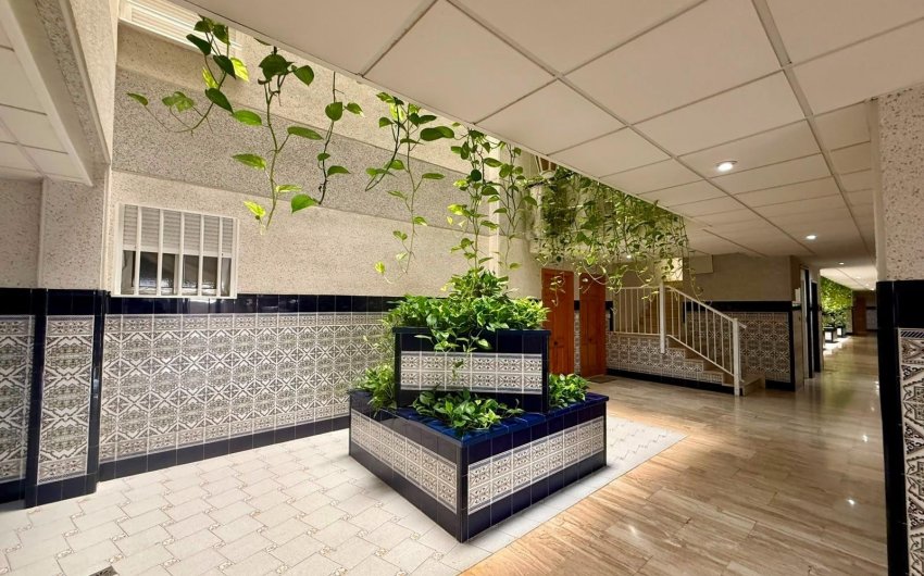 Reventa - Apartment -
Torrevieja - Playa del Cura