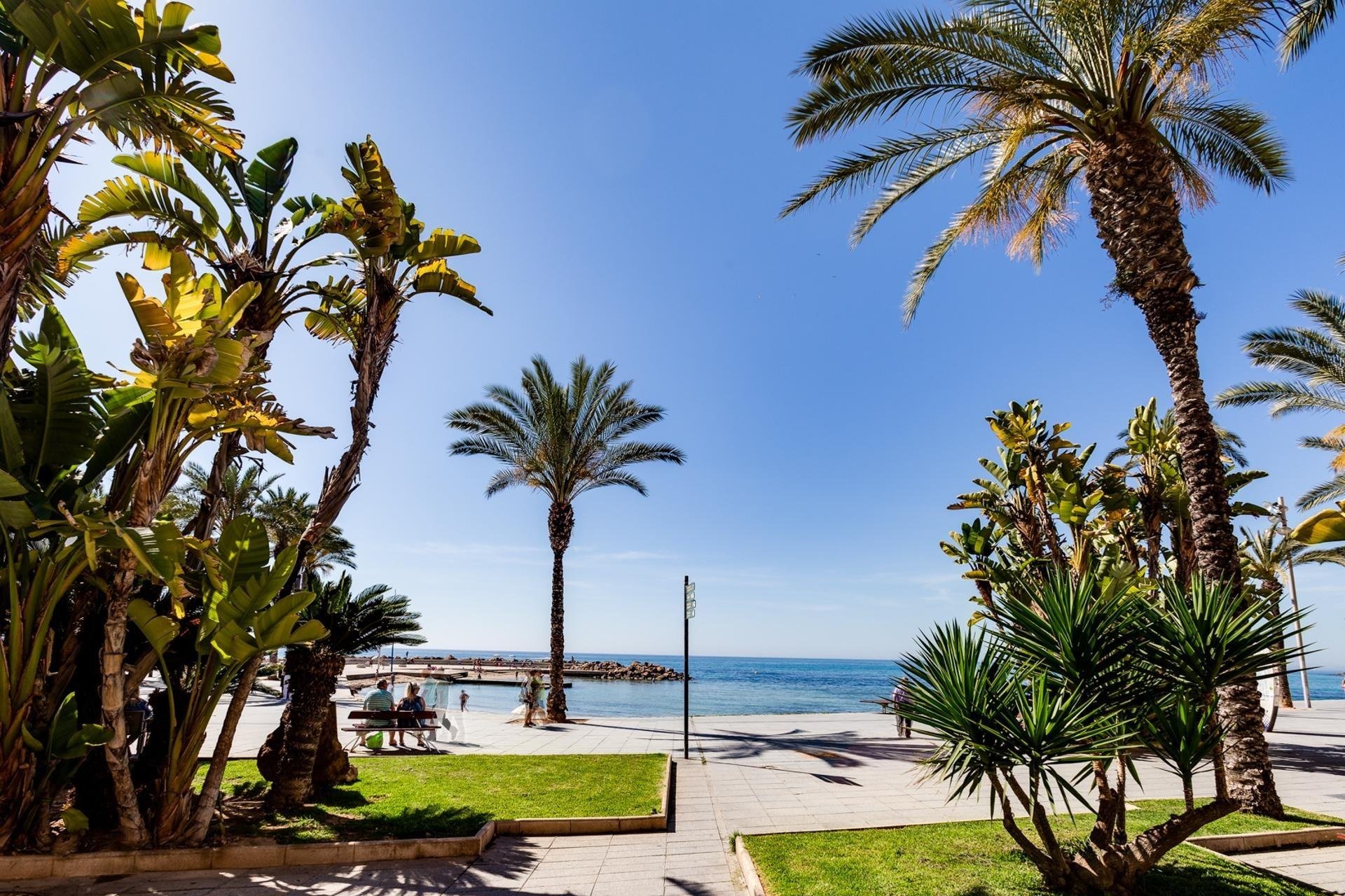Reventa - Apartment -
Torrevieja - Playa del Cura