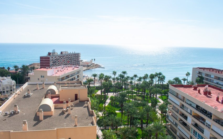 Reventa - Apartment -
Torrevieja - Playa Los Locos