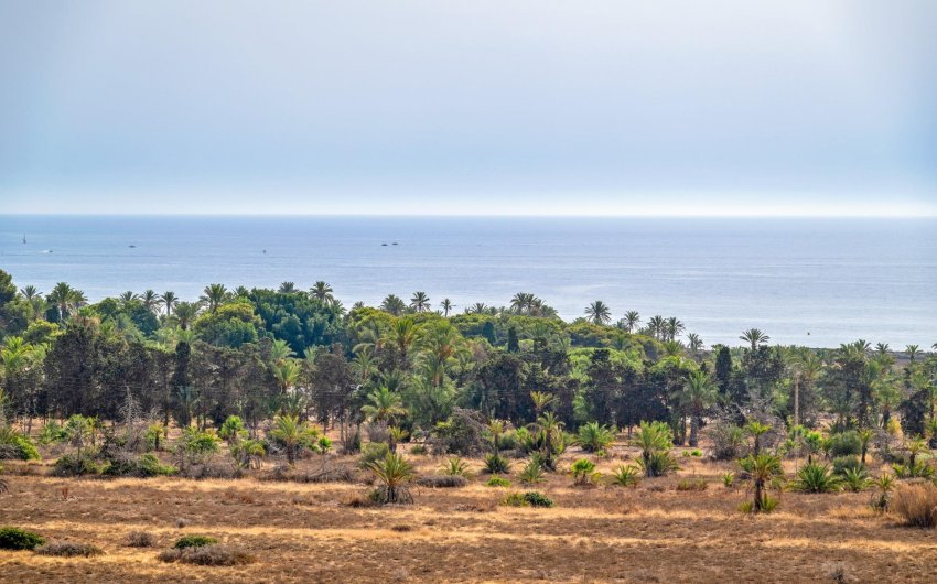 Reventa - Apartment -
Torrevieja - Punta Prima