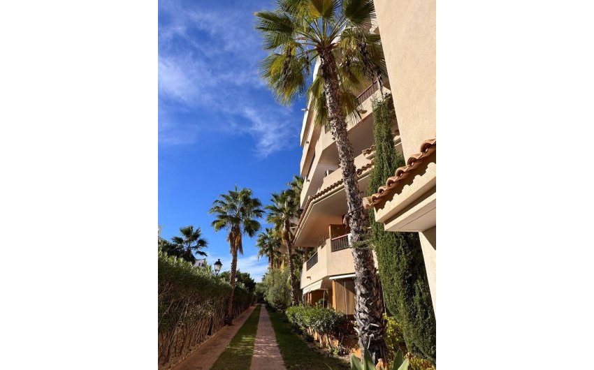Reventa - Apartment -
Torrevieja - Punta Prima