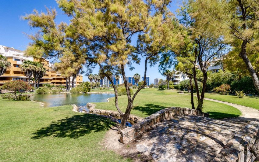 Reventa - Apartment -
Torrevieja - Punta Prima