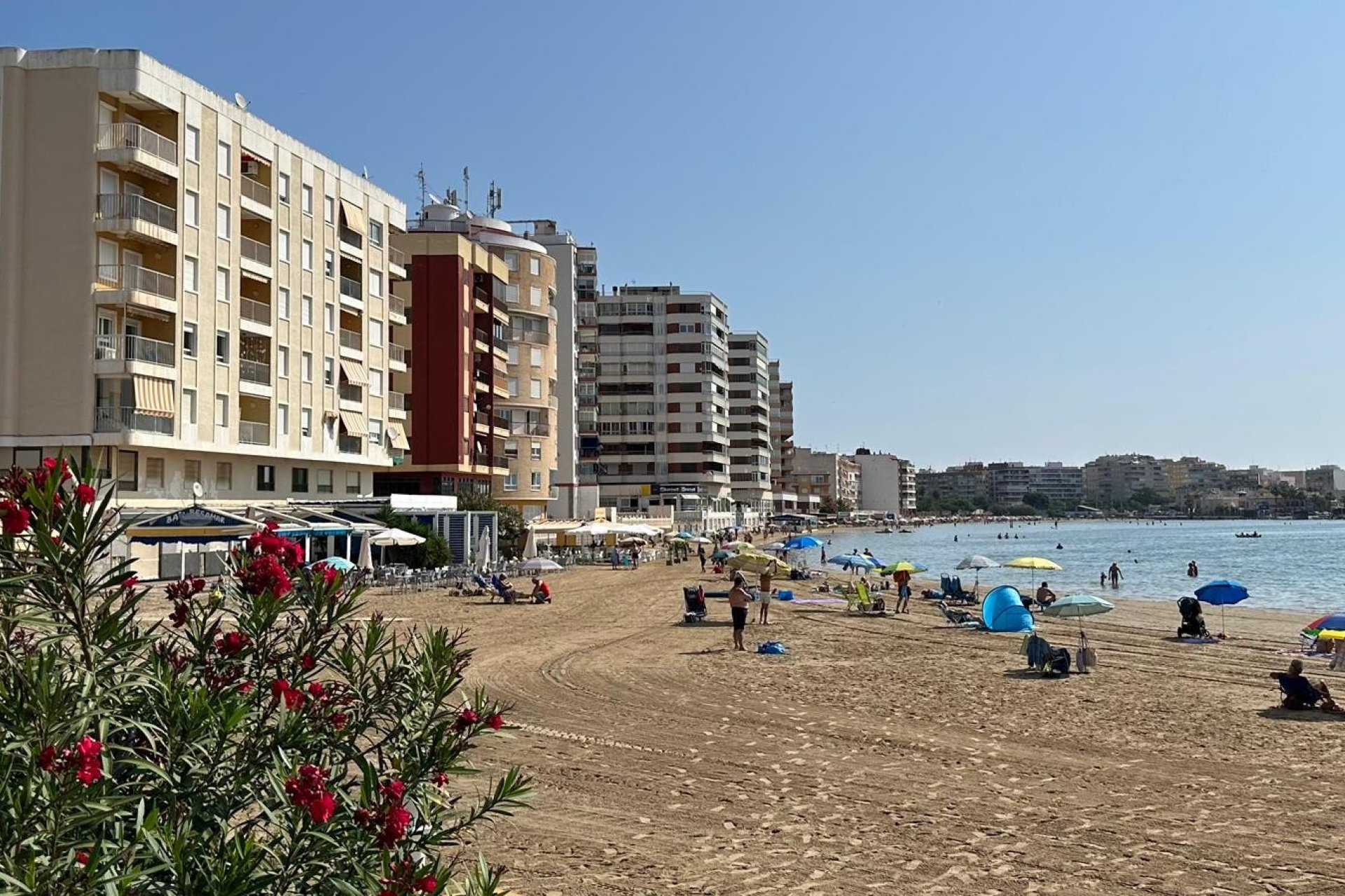 Reventa - Apartment -
Torrevieja