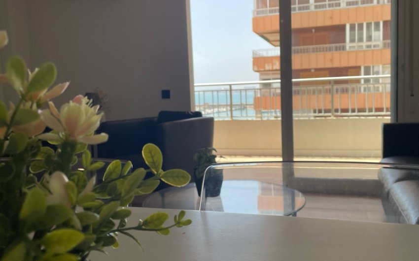 Reventa - Apartment -
Torrevieja