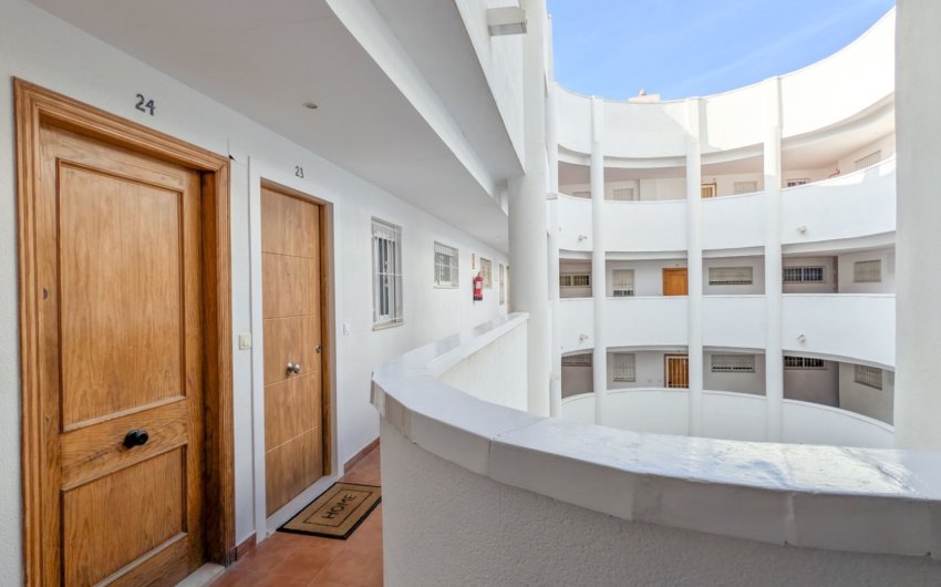 Reventa - Apartment -
Torrevieja