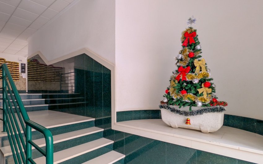 Reventa - Apartment -
Torrevieja