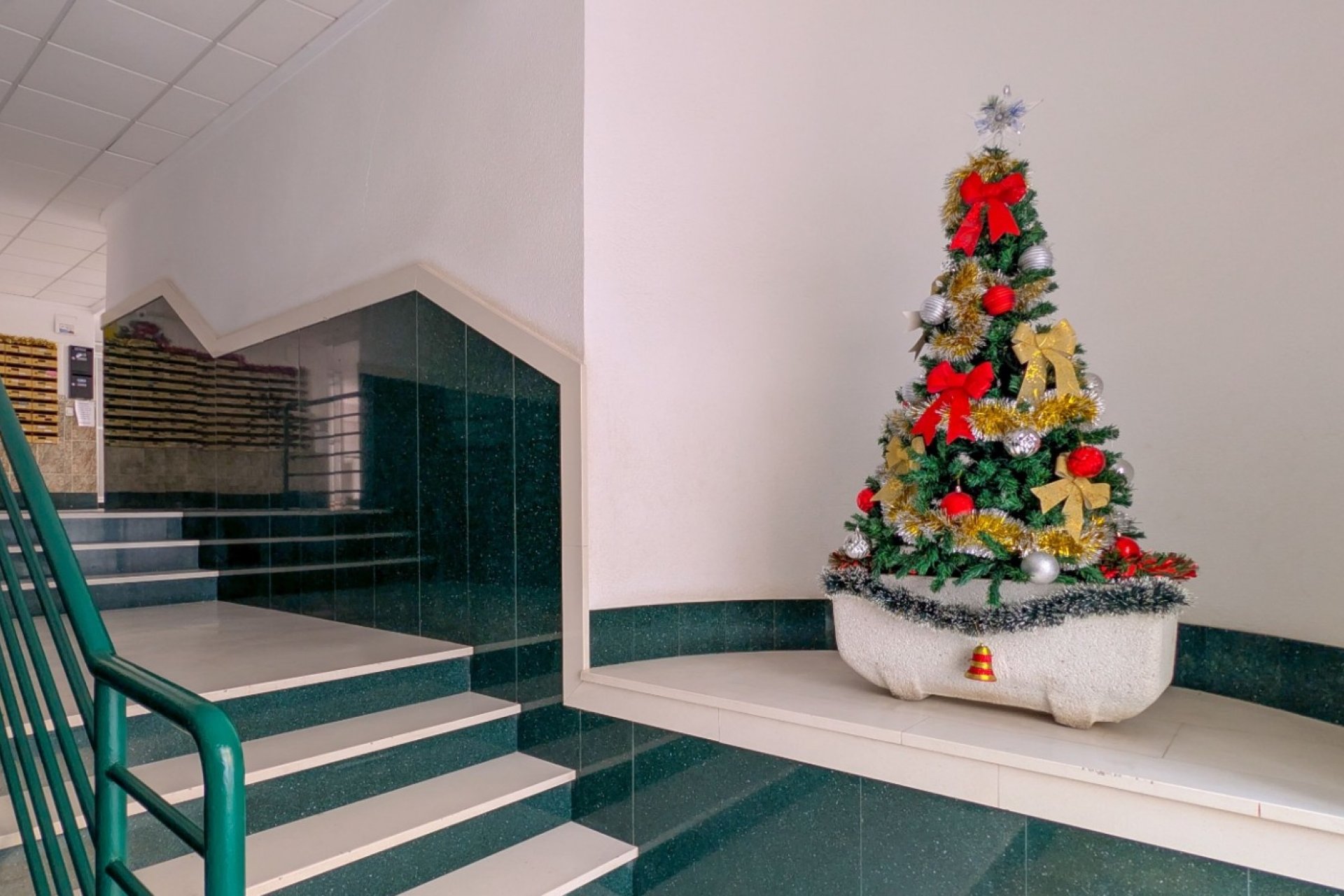 Reventa - Apartment -
Torrevieja