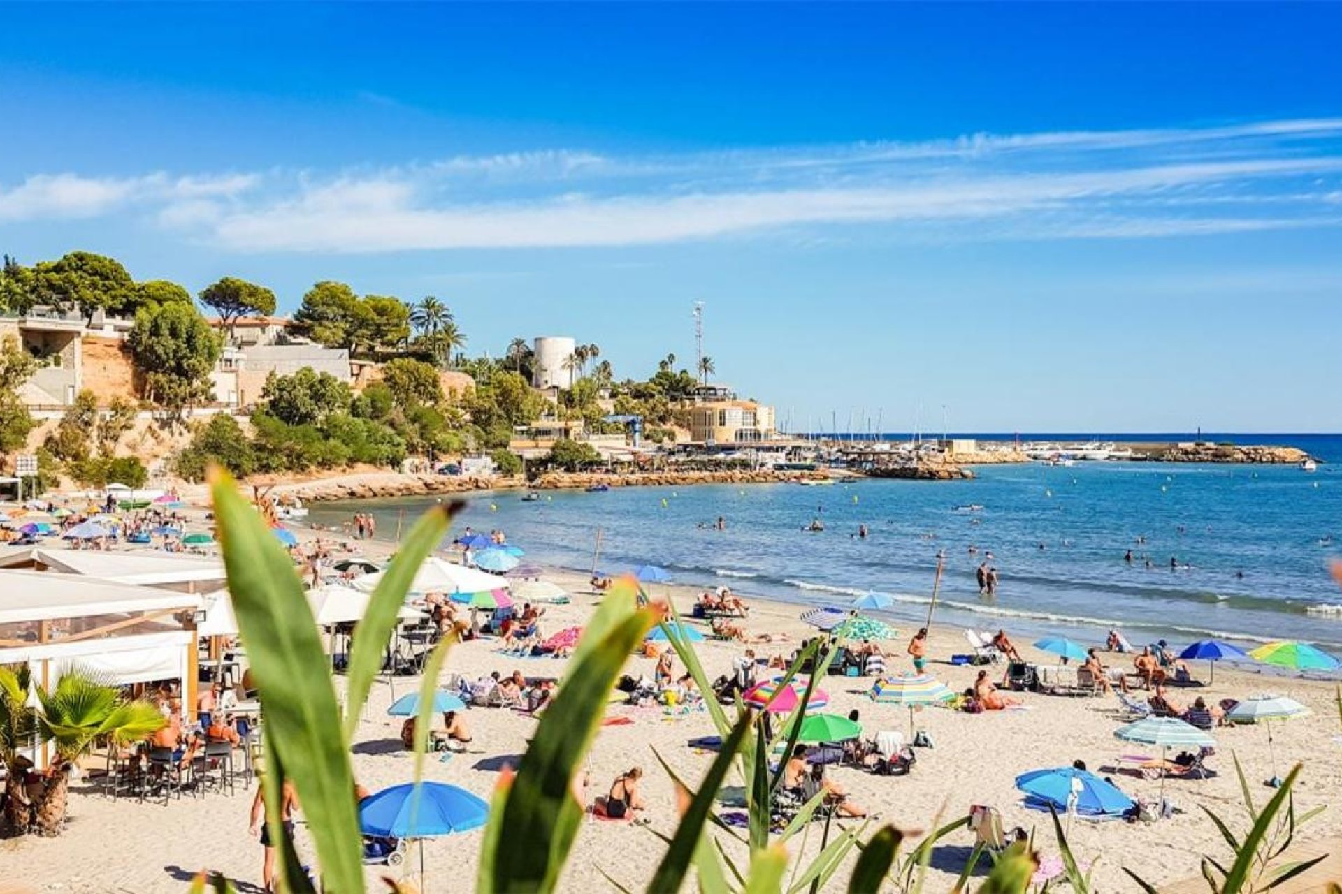 Reventa - Apartment -
Villamartin - Costa Blanca
