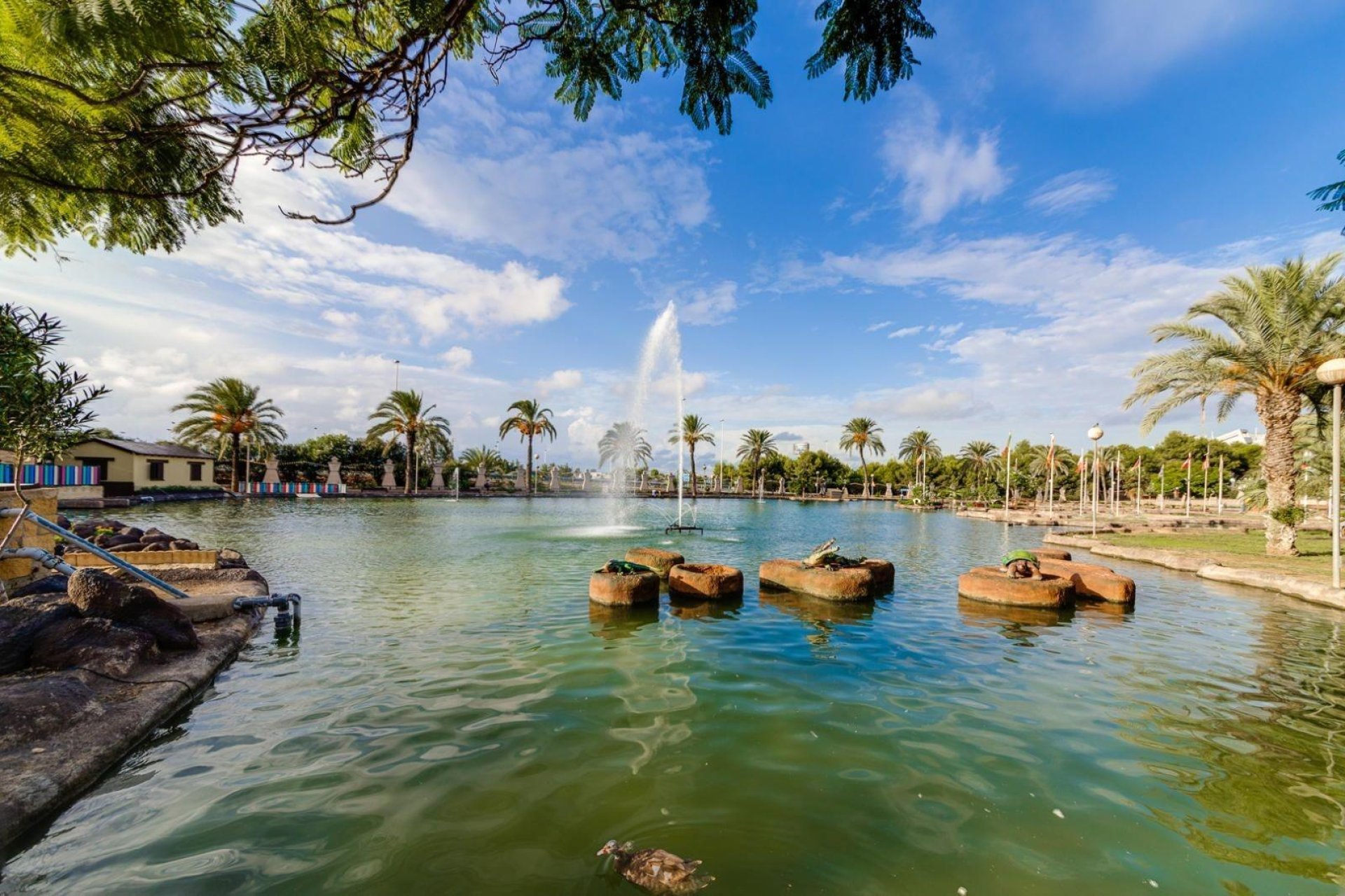 Reventa - Ático -
Torrevieja - Centro