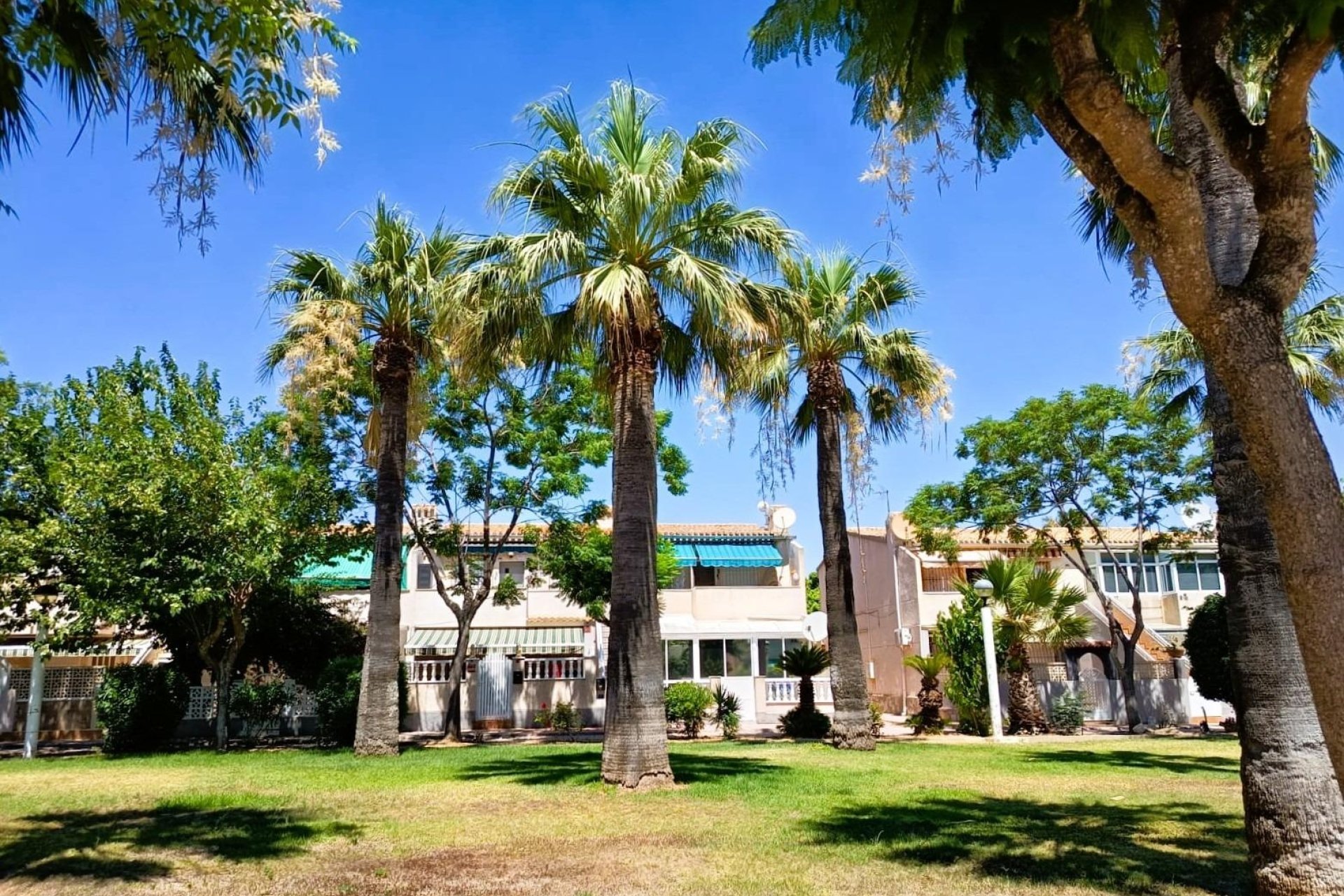 Reventa - Bungalow -
Orihuela Costa - Costa Blanca
