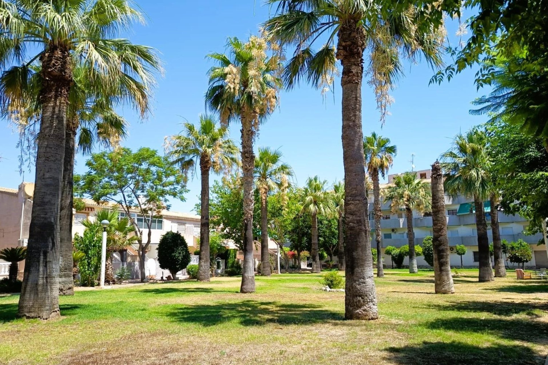 Reventa - Bungalow -
Orihuela Costa - Costa Blanca