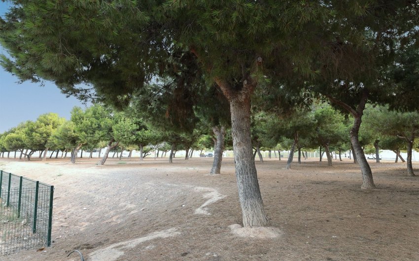 Reventa - Bungalow -
San Pedro del Pinatar - Costa Calida