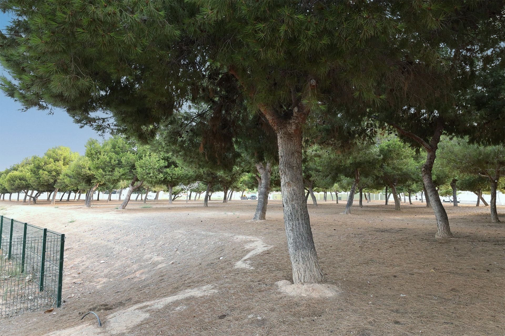 Reventa - Bungalow -
San Pedro del Pinatar - Costa Calida