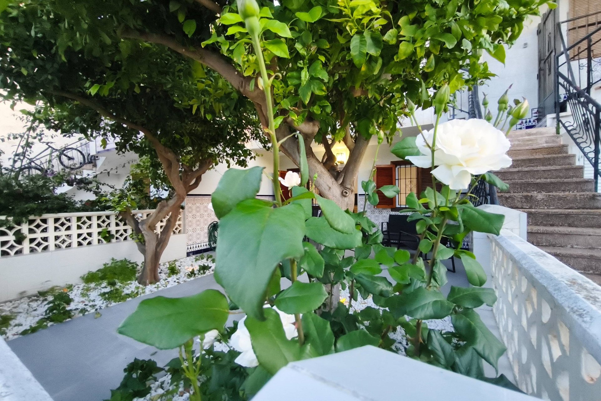 Reventa - Bungalow -
San Pedro del Pinatar - Lo Pagan