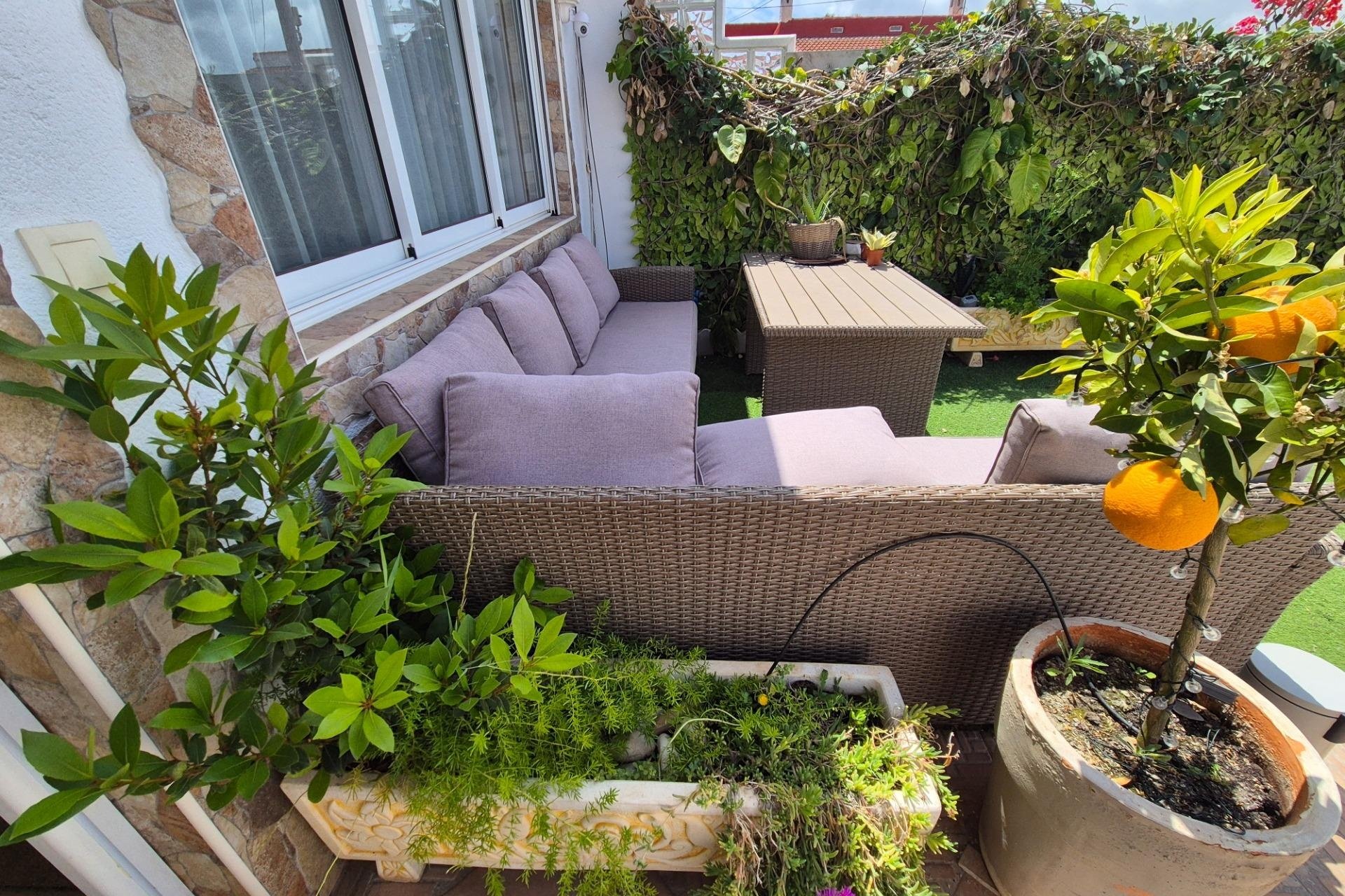 Reventa - Bungalow -
Torrevieja - El Limonar