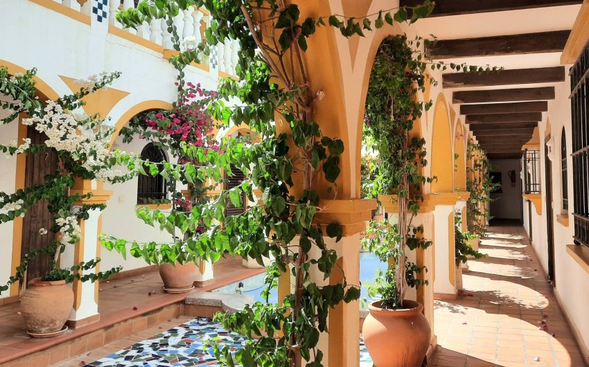 Reventa - Bungalow -
Torrevieja - La Mata