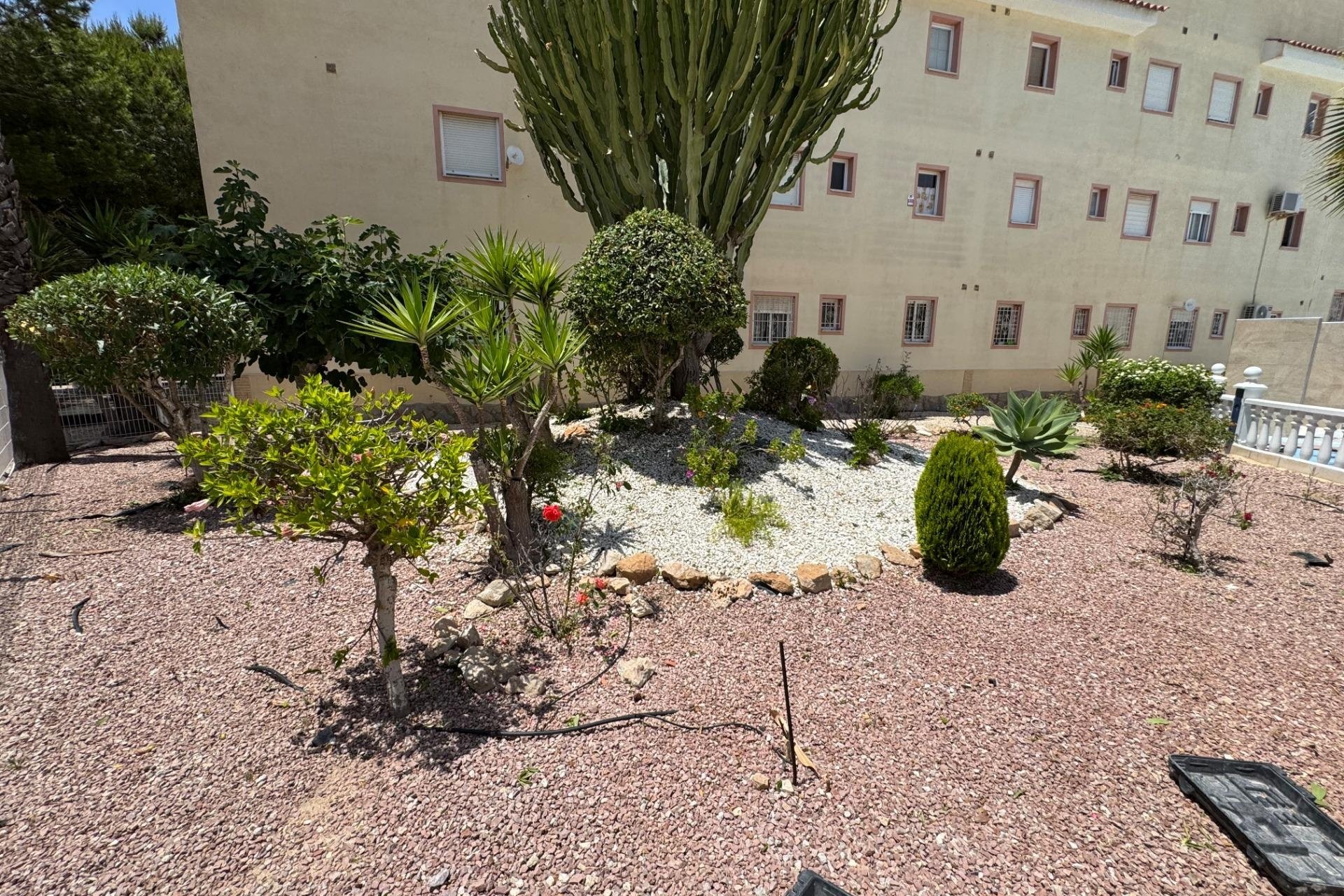 Reventa - Bungalow -
Torrevieja - La Siesta - El Salado - Torreta